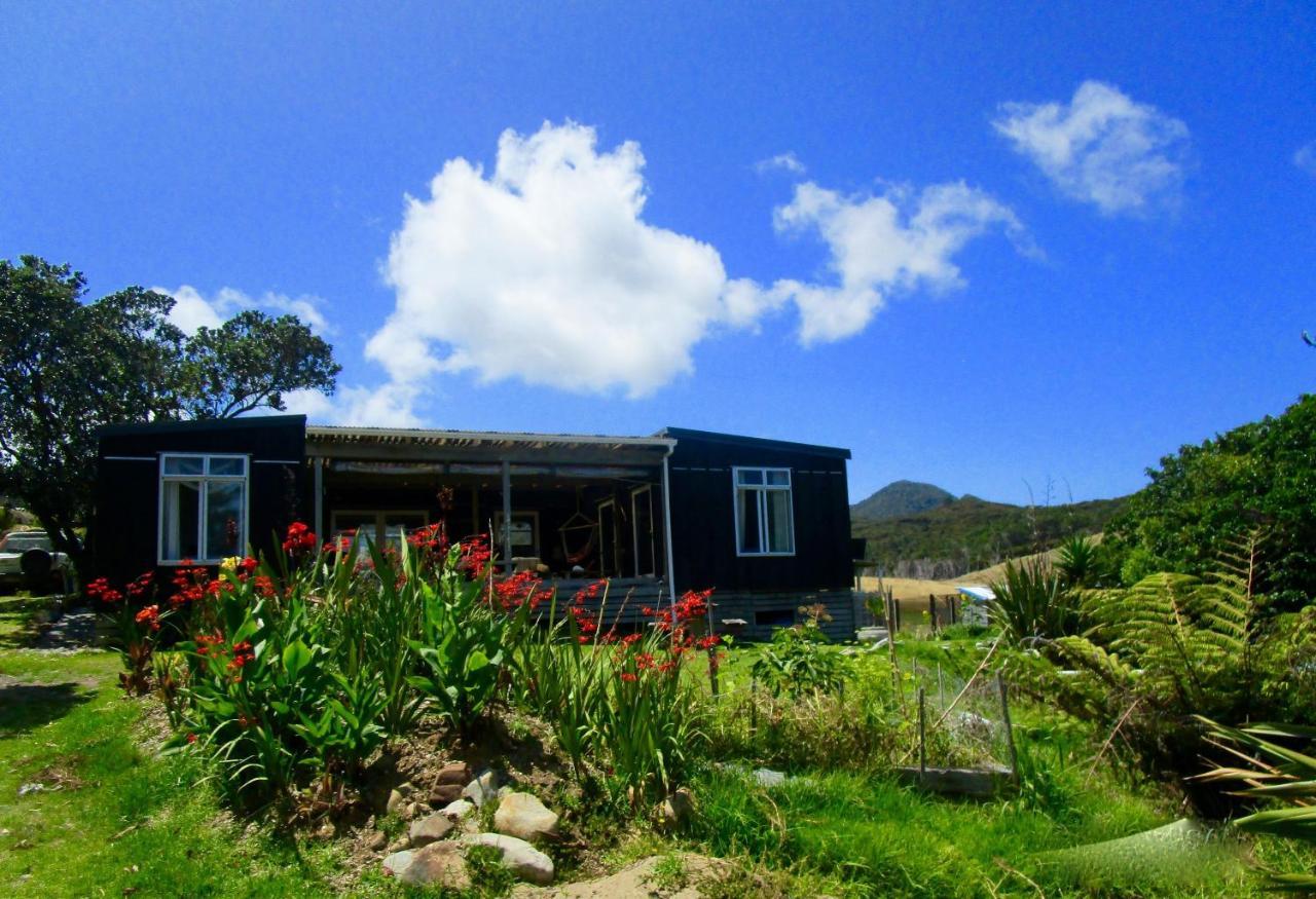 Bed and Breakfast Mulberry Grove Retreat Tryphena Exterior foto